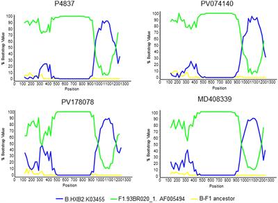 Identification of a HIV-1 circulating BF1 recombinant form (CRF75_BF1) of Brazilian origin that also circulates in Southwestern Europe